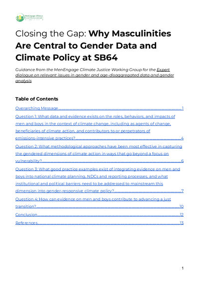 SB64 Why Masculinities Are Central to Gender Data and Climate Policy at SB64
