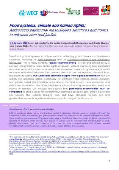 Joint Submission to UNSR on climate change and human rights Food systems climate and human rights Addressing patriarchal masculinities structures and norms to advance care and justice
