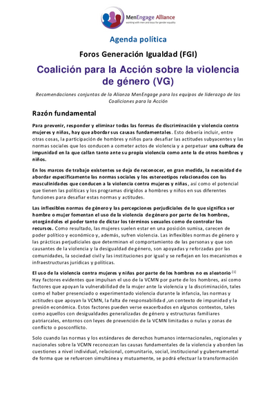 Coalicion para la Accion sobre la violencia de genero VG pdf