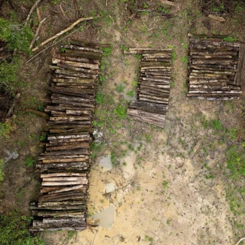 COP30&#x20;Deforestation