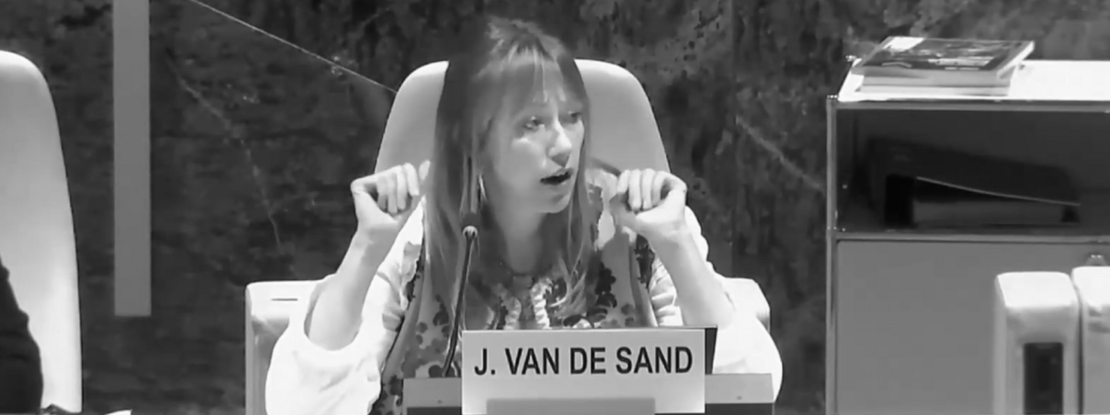 Website&#x20;Banner&#x20;Joni&#x20;at&#x20;cedaw
