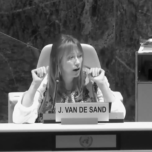 Website&#x20;Banner&#x20;Joni&#x20;at&#x20;cedaw