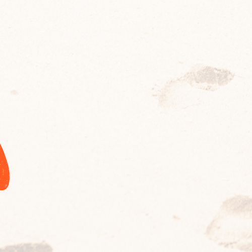 Co&#x20;Lab&#x20;Banner&#x20;1