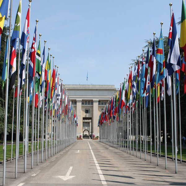United Nations Geneva 2010 07 01