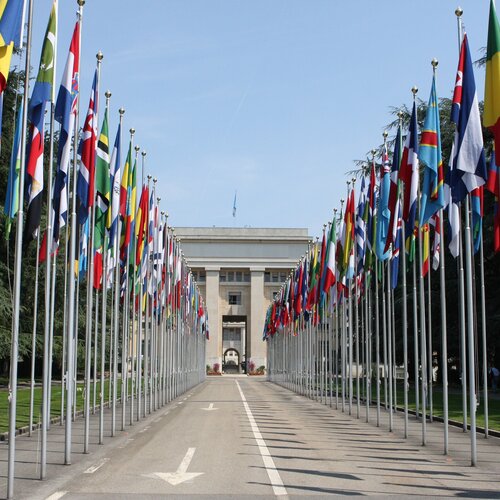 United Nations Geneva 2010 07 01